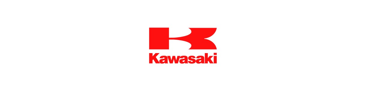 Categoría junta espía, horquilla spi y guardapolvo para KAWASKI