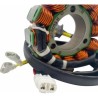 Stator pour GAS GAS 4 temps