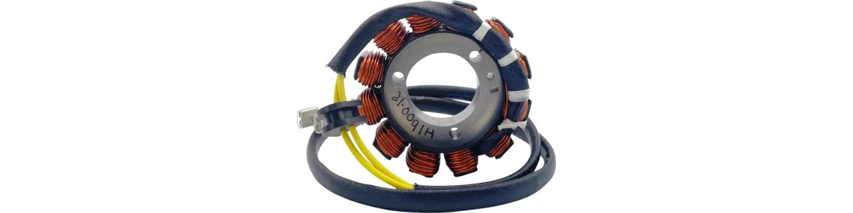 Stator for GAS GAS 2-stroke