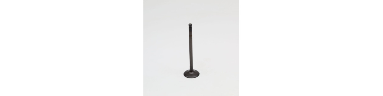 Exhaust valves for YAMAHA quads
