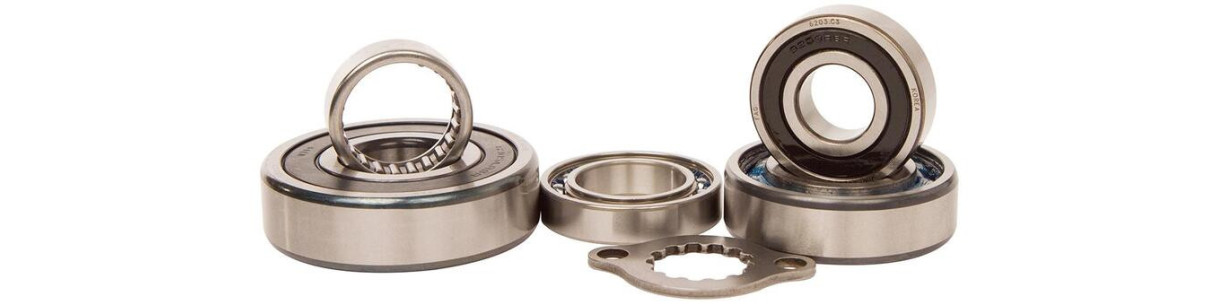 Caja de cambios, selector y kick para quad ARCTIC CAT