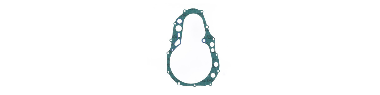 Individual gaskets for ARCTIC CAT quads