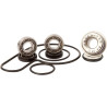 Water pump repair kits for KAWASAKI quads