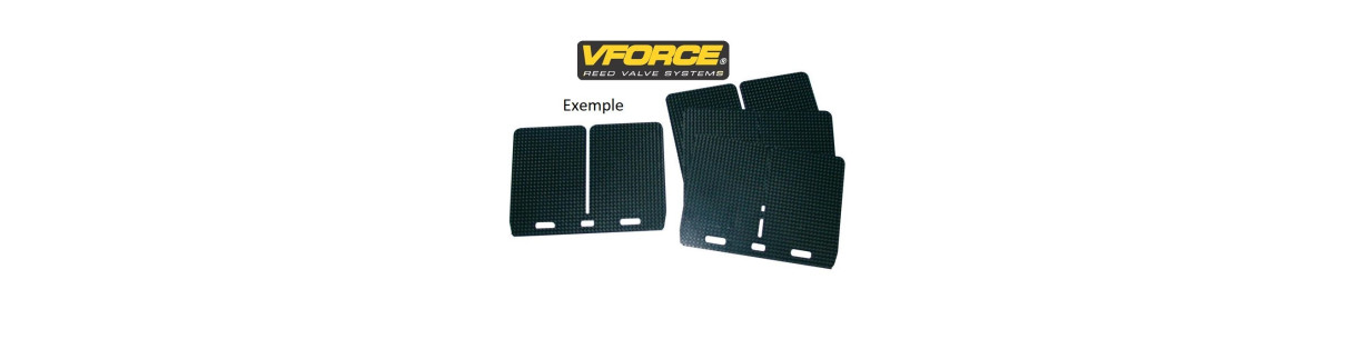 Reed valves for POLARIS quads