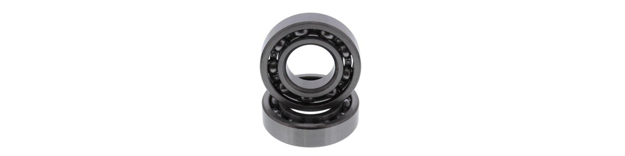 Balancer shaft bearings for POLARIS quads