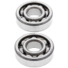 Rodamientos de cigüeñal para quad POLARIS