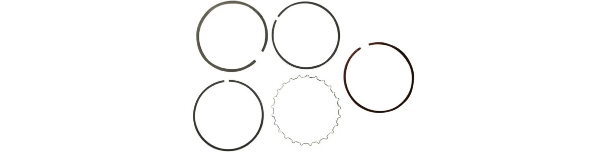 Segmentos de recambio para quad YAMAHA