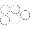 Segmentos de recambio para quad YAMAHA