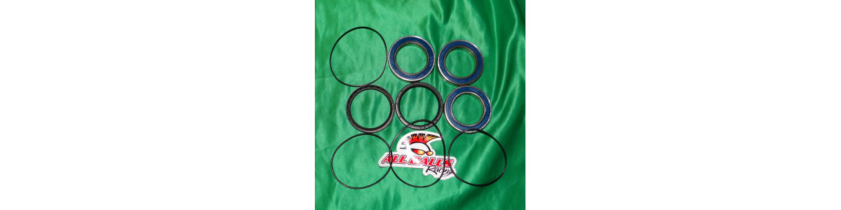 Bras oscillant, kit de réparation, roulement pour quad HONDA