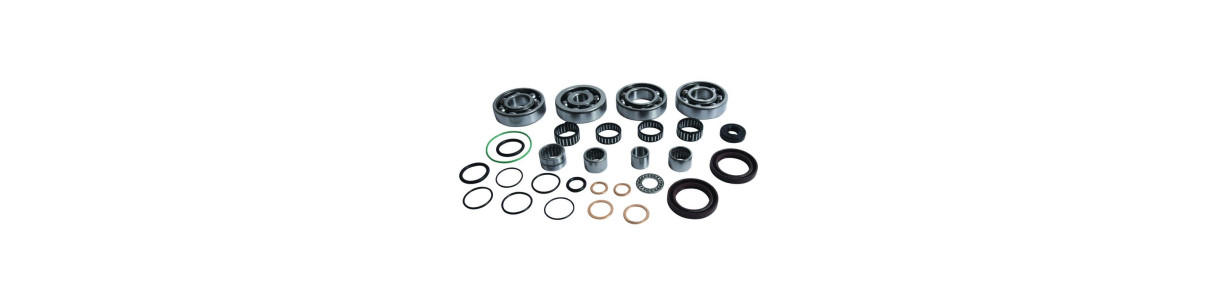 Caja de cambios, selector y kick para quad CAN-AM
