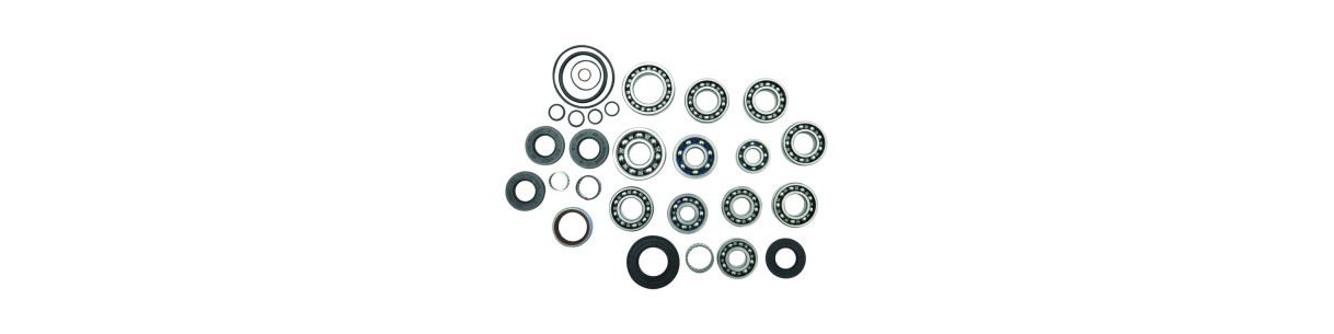 Gearbox, shifter and kick-start parts for POLARIS quads