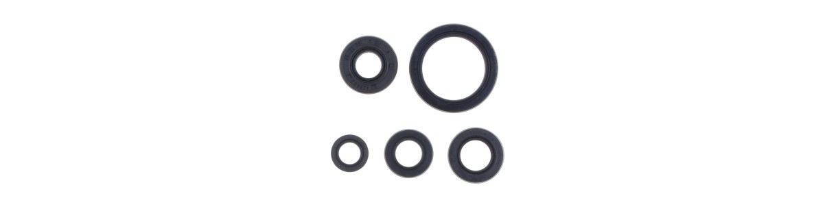Kits de retenes de motor para FANTIC 4 tiempos