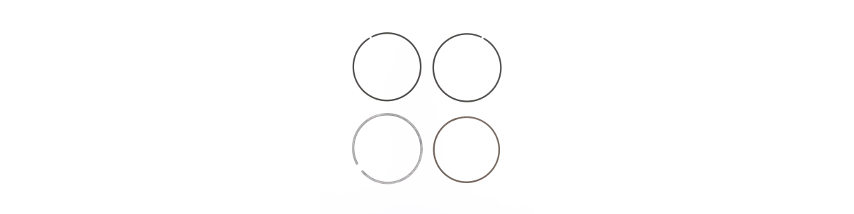 Segmentos para FANTIC 4 tiempos