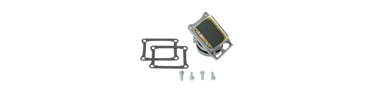 Reed valve blocks for FANTIC 2-stroke