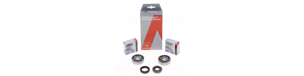 Bearing and oil seal kits for APRILIA 2-stroke