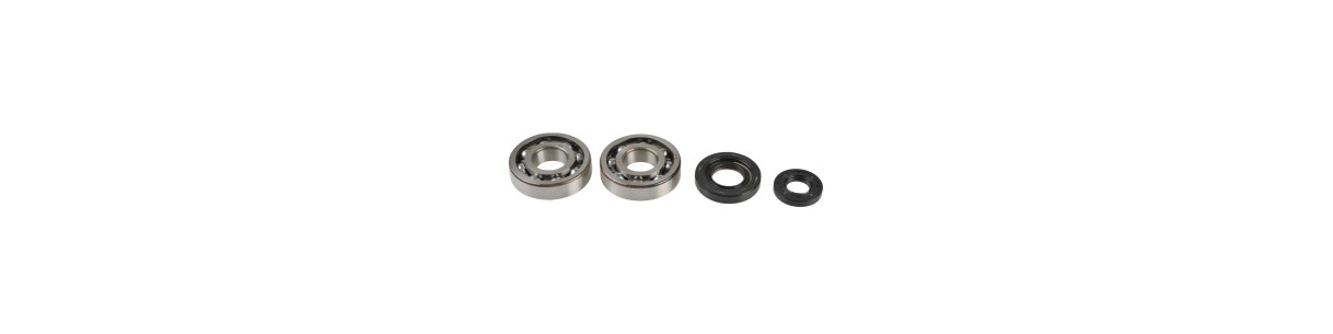 Bearing and oil seal kits for FANTIC 2-stroke