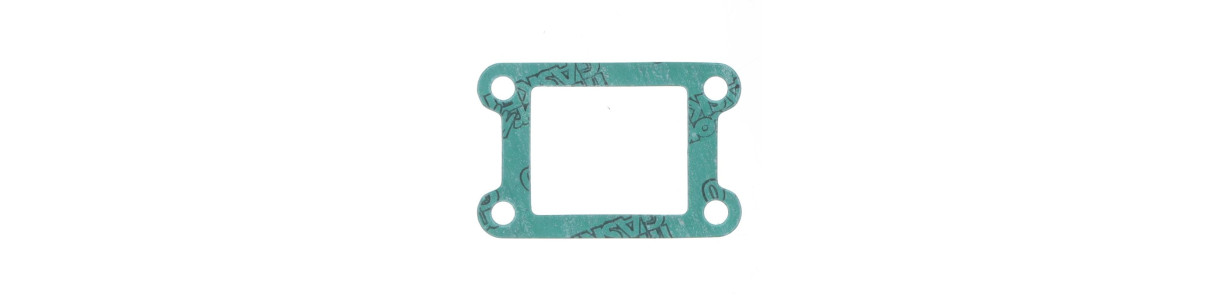 Reed valve and intake gaskets for RIEJU 2-stroke