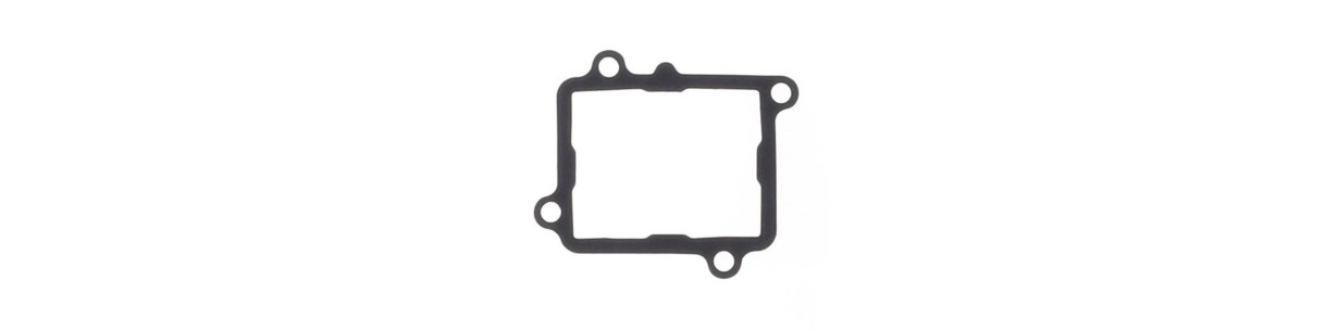 Reed valve and intake gaskets for FANTIC 2-stroke