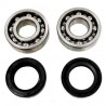 Bearing pack, spy seal for BETA 2 stroke