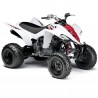 Chasis de quad de 2 y 4 tiempos